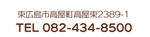 医院歯の健康ドクター